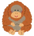 orangutan